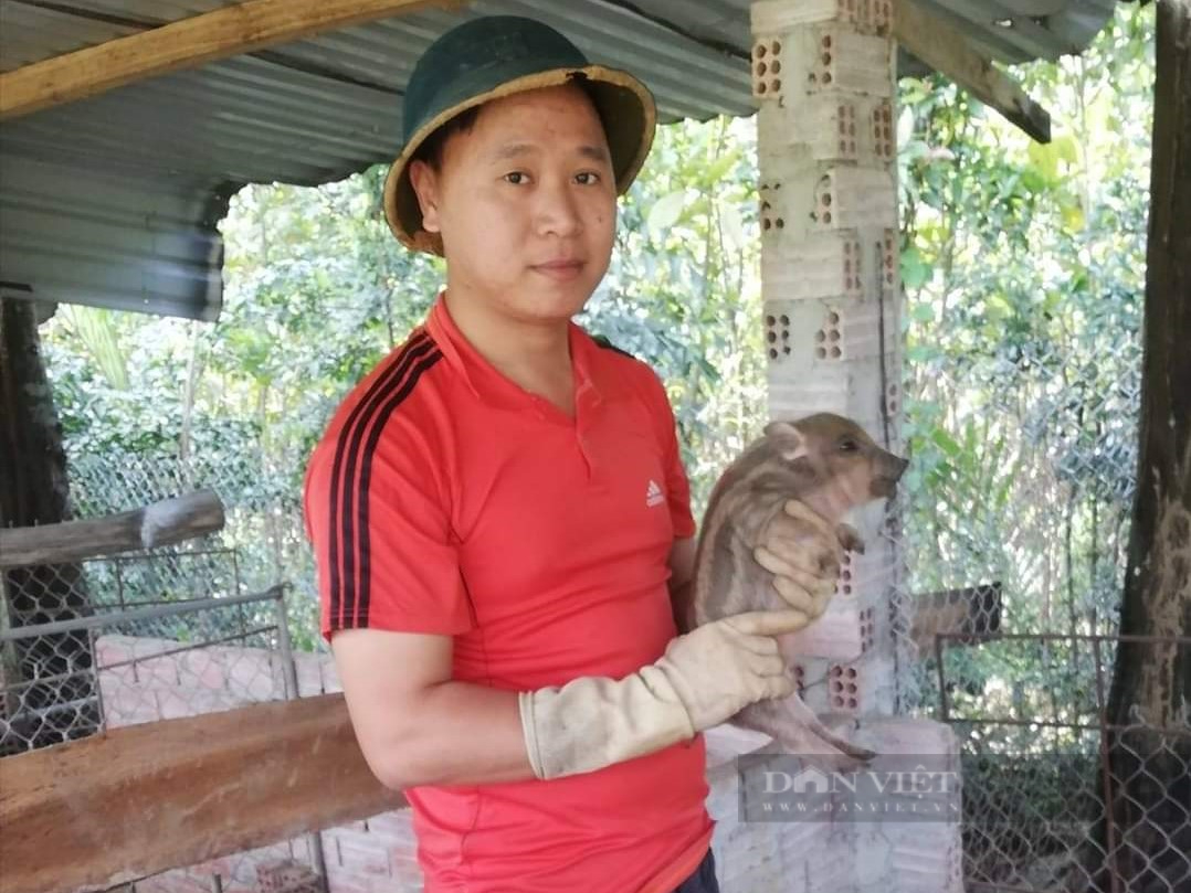 Bỏ phố về quê nuôi con đặc sản, 9X vươn xứ Quảng quyết tâm làm giàu trên mảnh đất quê hương - Ảnh 1. Bỏ phố về quê nuôi con đặc sản, 9X vươn xứ Quảng quyết tâm làm giàu trên mảnh đất quê hương - Ảnh 1.